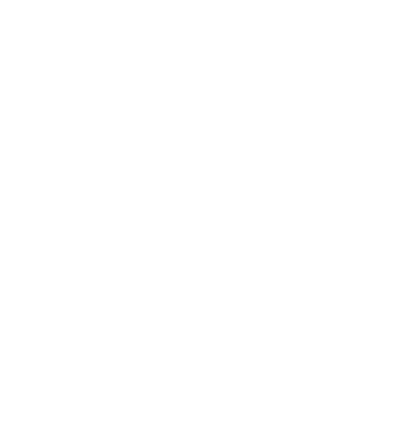 HALCÓN Mantenimiento & Conservación